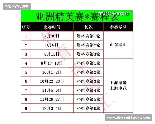 亚冠精英联赛新规解析外援报名放开三黄停赛新标准 亚冠精英联赛新规解析外援报名放开三黄停赛新标准